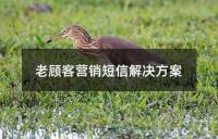 老顧客營銷短信解決方案